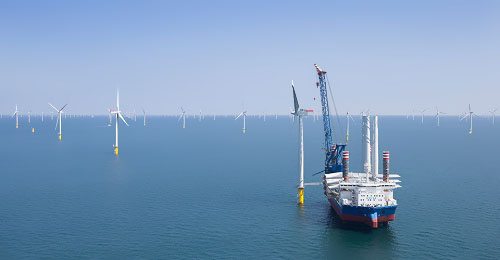 �Ϳ�ɭ������|����(y��ng)�|��������1̖�(xi��ng)Ŀ